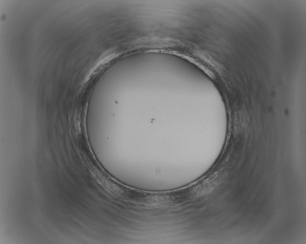 X0000065251451200603031751