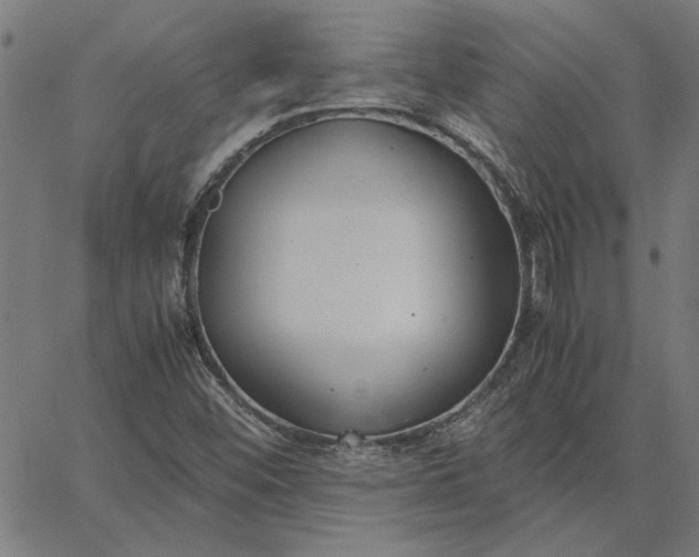 X0000065251452200603031751