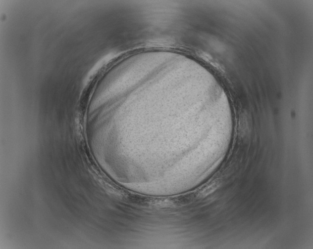 X0000065251454200603031751