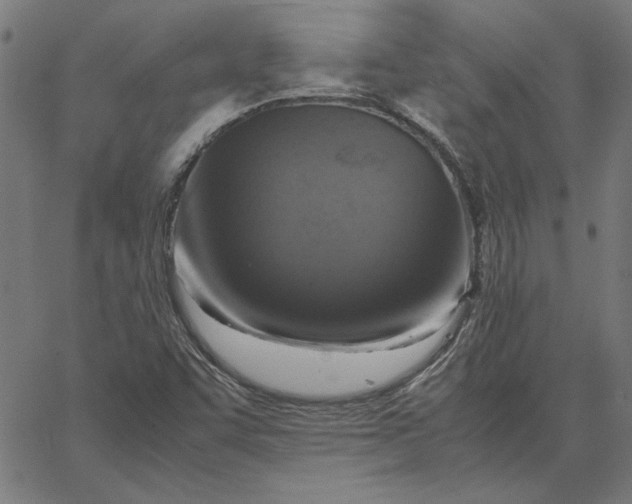 X0000065251455200603031751