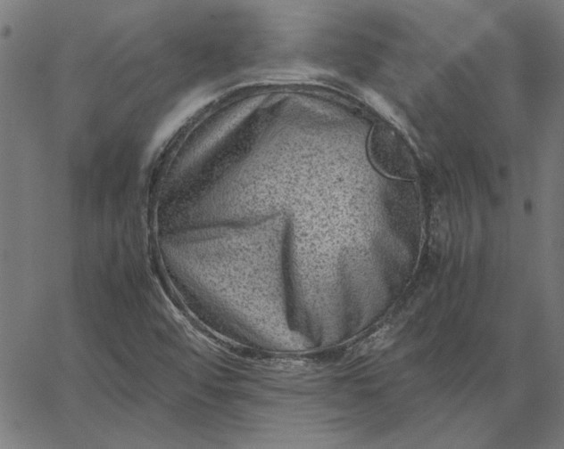 X0000065251456200603031751