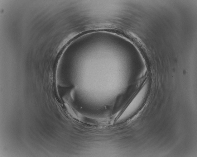 X0000065251457200603031751