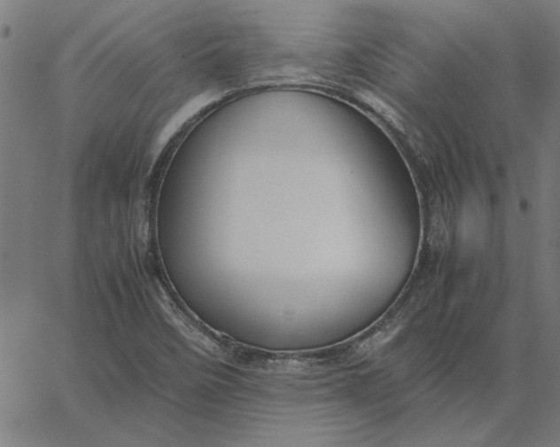 X0000065251458200603031751