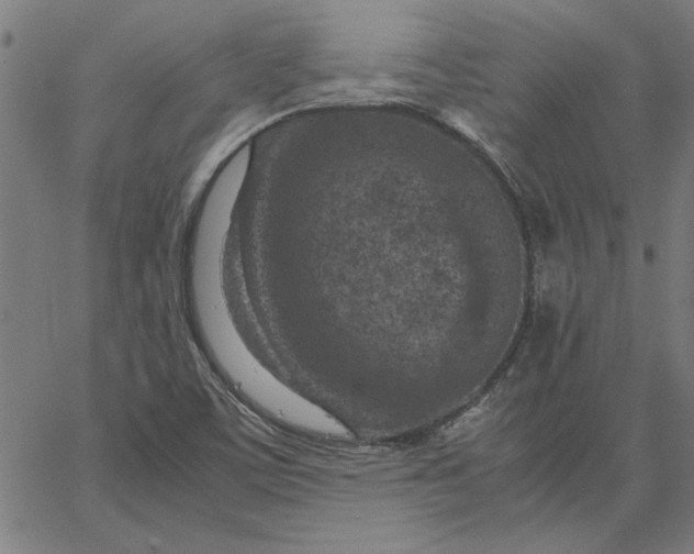 X0000065251459200603031751