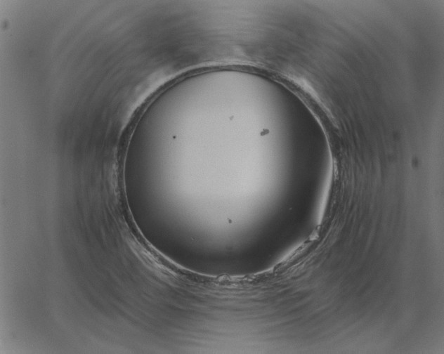 X0000065251460200603031751