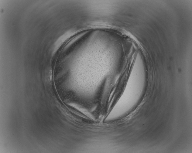 X0000065251461200603031751