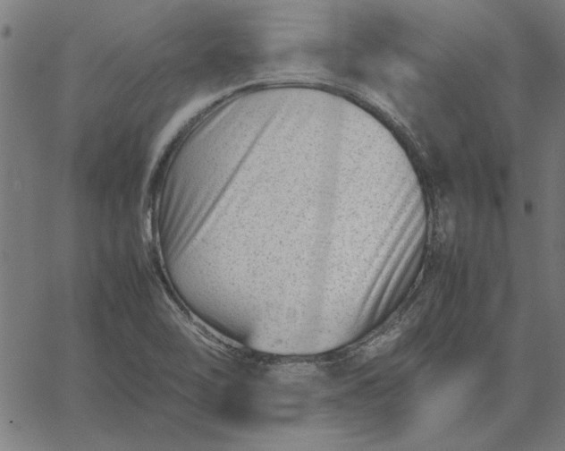 X0000065251462200603031751