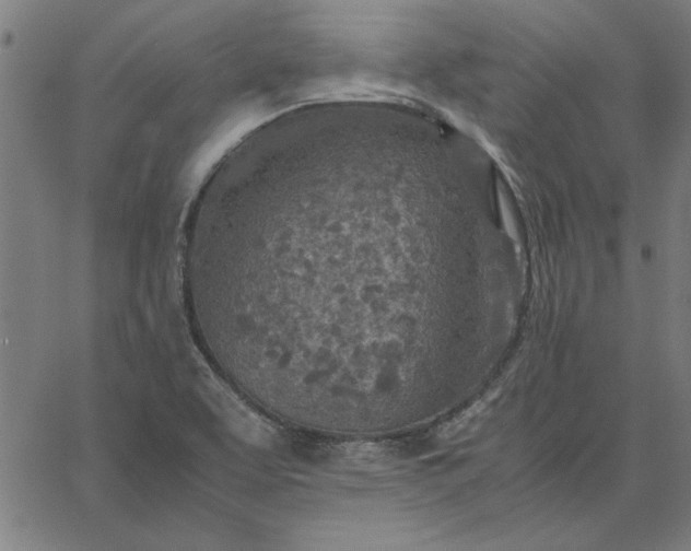 X0000065251463200603031751