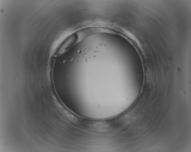 X0000065251464200603031751