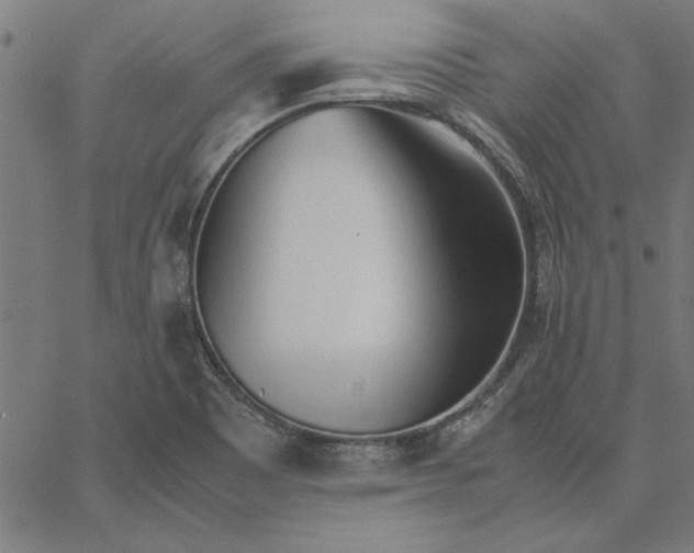 X0000065251465200603031751