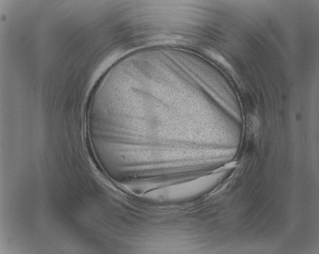 X0000065251467200603031751