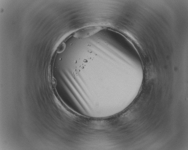 X0000065251468200603031751