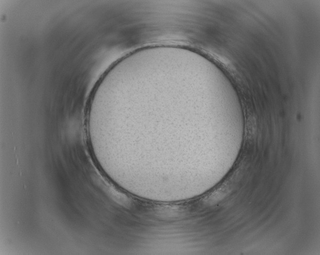 X0000065251470200603031751