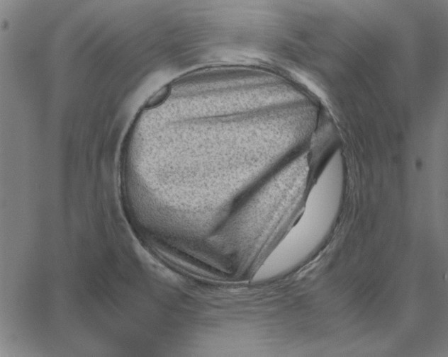 X0000065251471200603031751