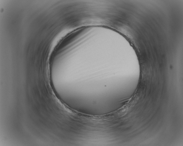 X0000065251472200603031751