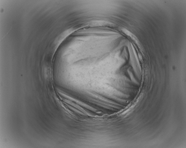 X0000065251473200603031751