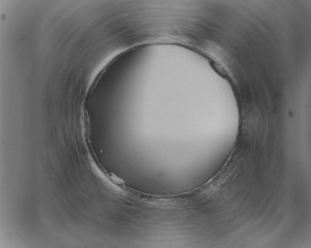 X0000065251476200603031751