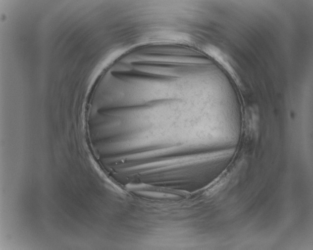 X0000065251477200603031751