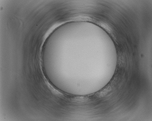 X0000065251478200603031751