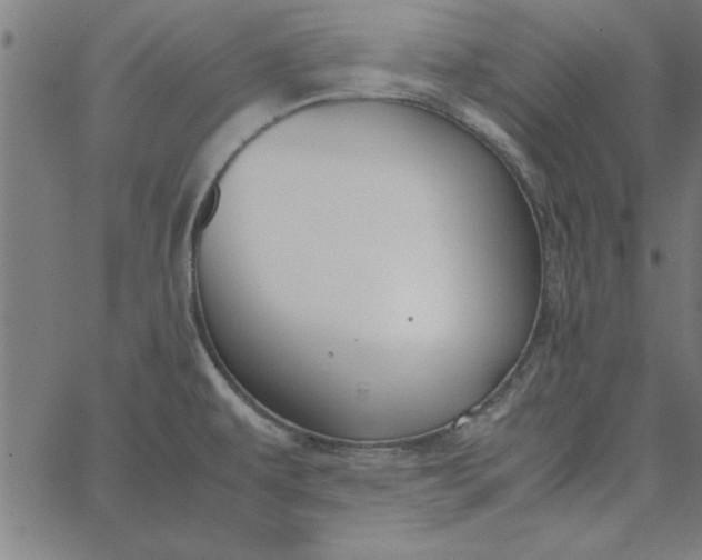 X0000065251479200603031751