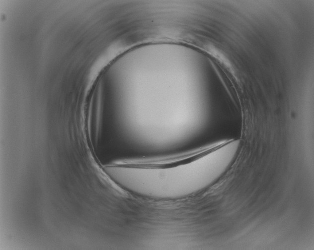 X0000065251480200603031751