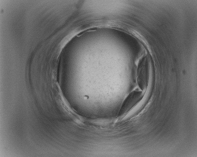 X0000065251481200603031751