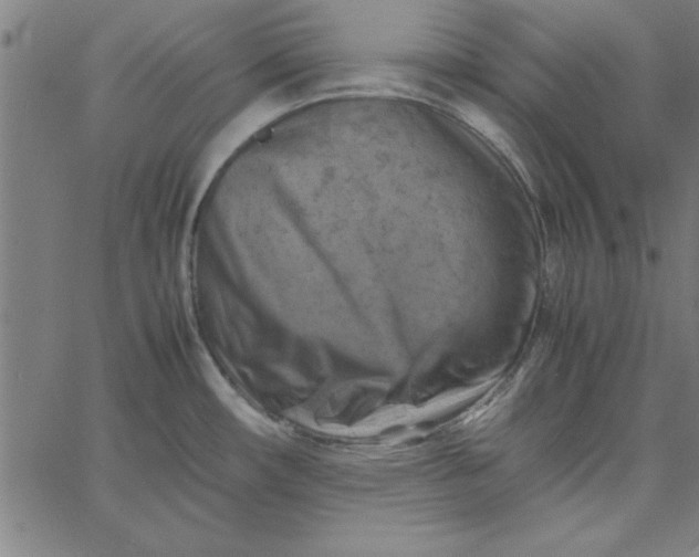 X0000065251482200603031751