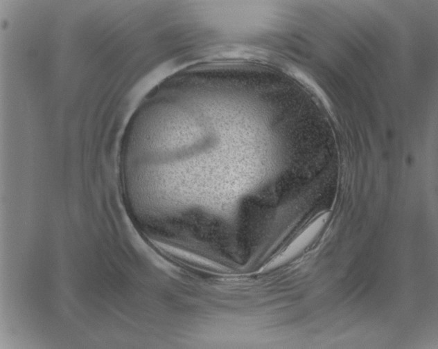 X0000065251483200603031751