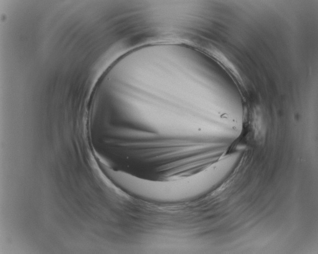 X0000065251484200603031751