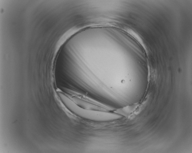 X0000065251485200603031751