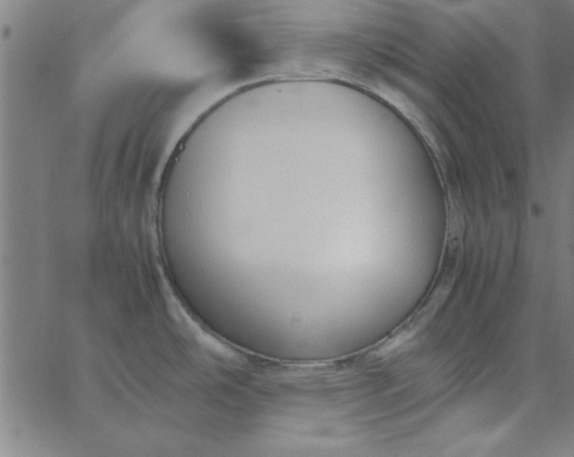 X0000065251486200603031751