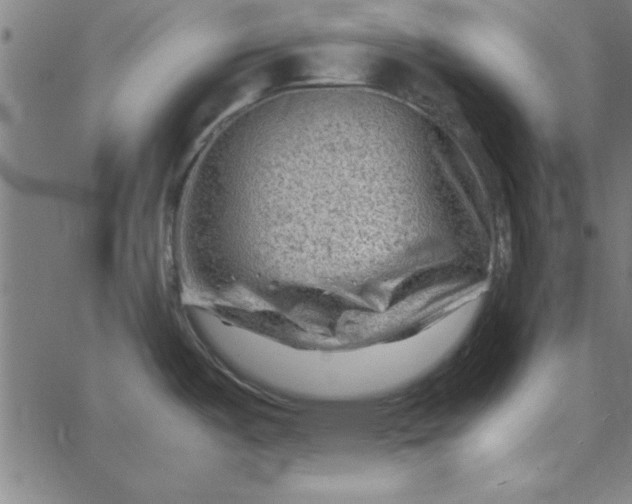 X0000065251487200603031751