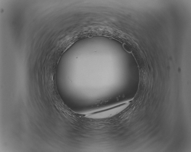 X0000065251489200603031750