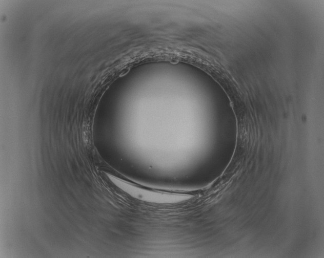 X0000065251490200603031750