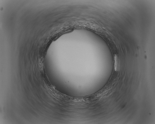 X0000065251491200603031750