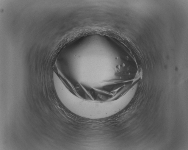 X0000065251492200603031750