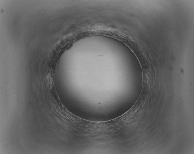 X0000065251493200603031750