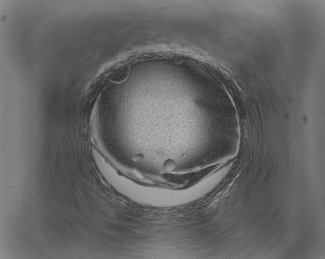 X0000065251494200603031750