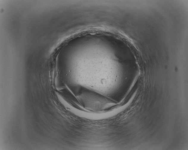 X0000065251496200603031750