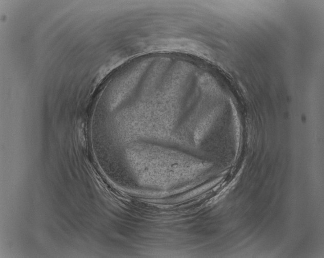 X0000065251497200603031750