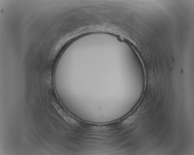 X0000065251499200603031750