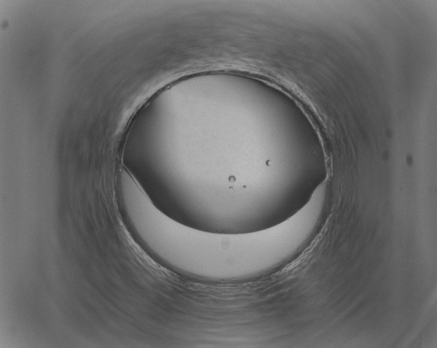 X0000065251500200603031750