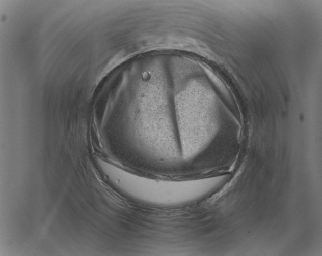 X0000065251505200603031750