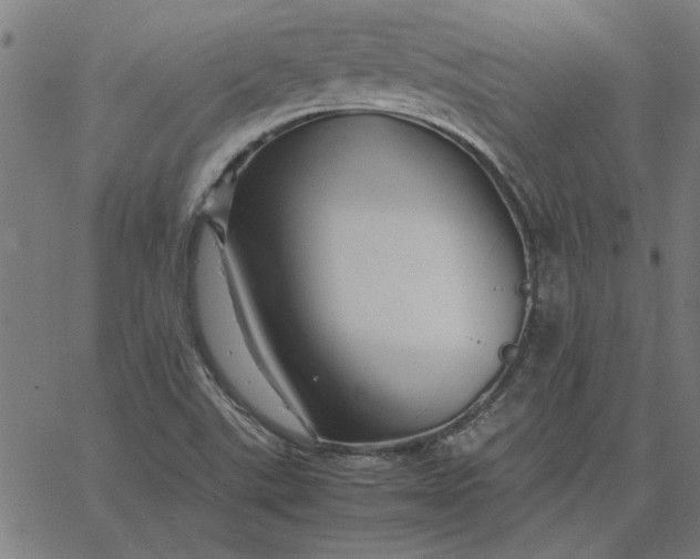 X0000065251507200603031750