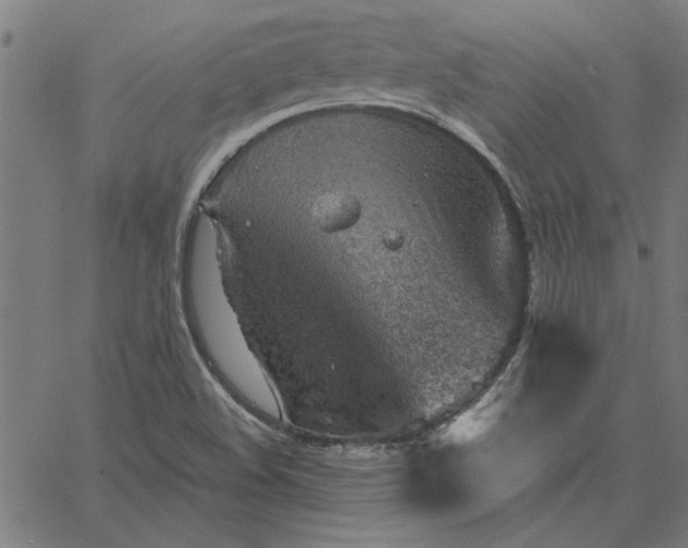 X0000065251508200603031750