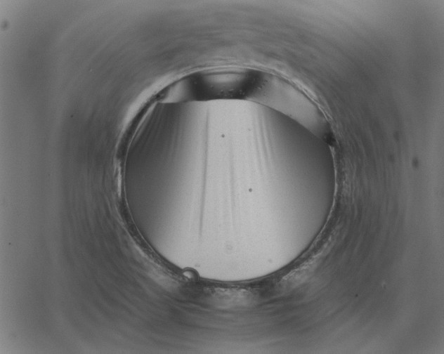 X0000065251509200603031750