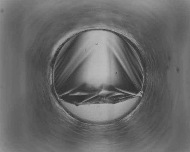 X0000065251510200603031750