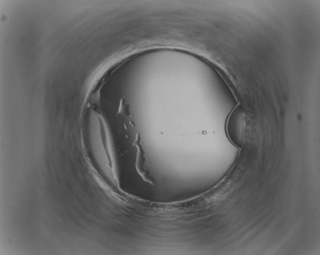 X0000065251511200603031750