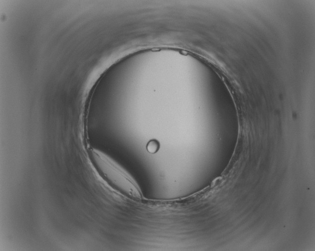 X0000065251512200603031750