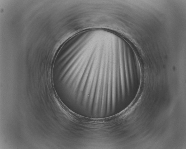 X0000065251513200603031750